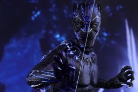 The Black Panther Hot Toy Steps Into the Spotlight
