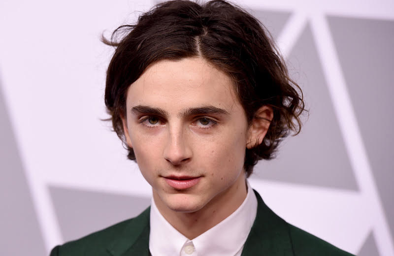 Lady Bird's Timothee Chalamet to Play Young Henry V in The King 