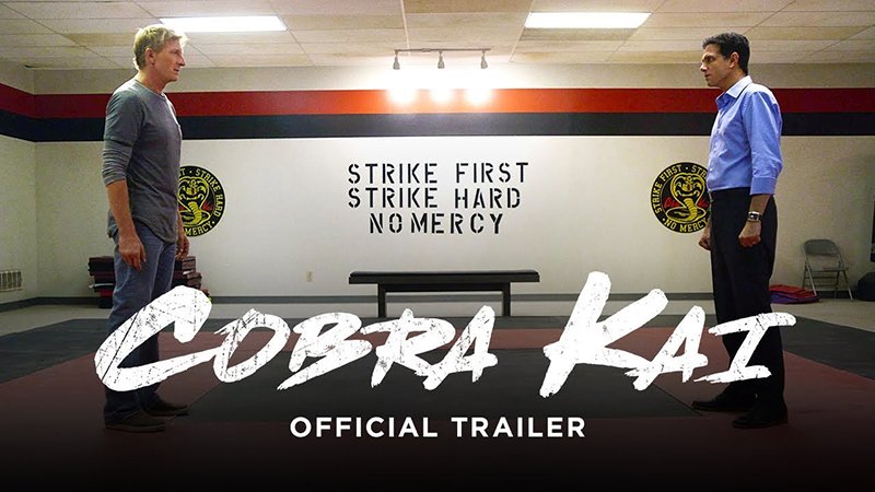 Cobra Kai Official Trailer Released!