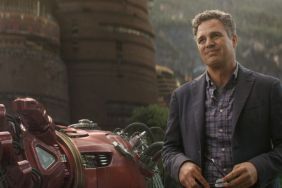 Mark Ruffalo Talks Banner and Hulk's Roles in Avengers: Infinity War