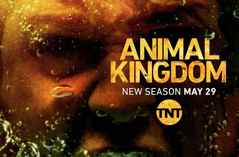 Animal Kingdom Season 3 Trailer and Key Art Revealed!