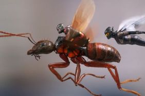 New Ant-Man and The Wasp Photos, Details on Sequel