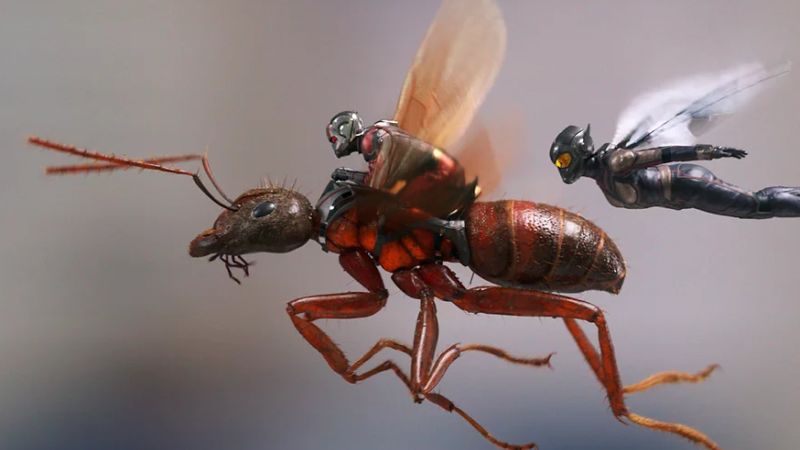 New Ant-Man and The Wasp Photos, Details on Sequel