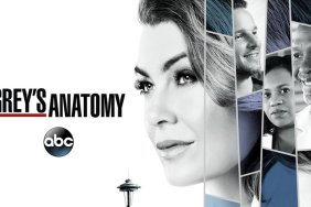 Grey's Anatomy Season 15 Given the Green Light by ABC