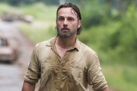 Andrew Lincoln Could Be Exiting AMC's The Walking Dead in Season 9