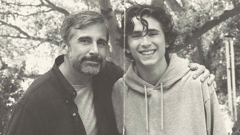 Beautiful Boy Trailer & Poster With Carrell and Chalamet