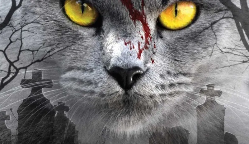 Productions Begins on Pet Sematary Remake