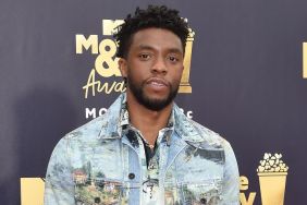 Chadwick Boseman to Star in the Russo Brothers' 17 Bridges