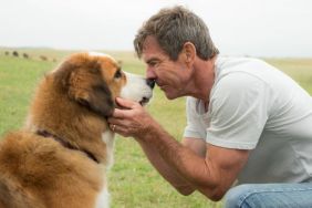 A Dog's Purpose Sequel Now in Production
