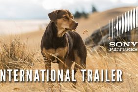 international trailer for A Dog's Way Home