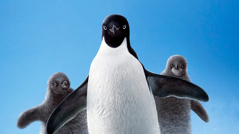Disneynature Debuts Penguins Poster For First Day of Winter