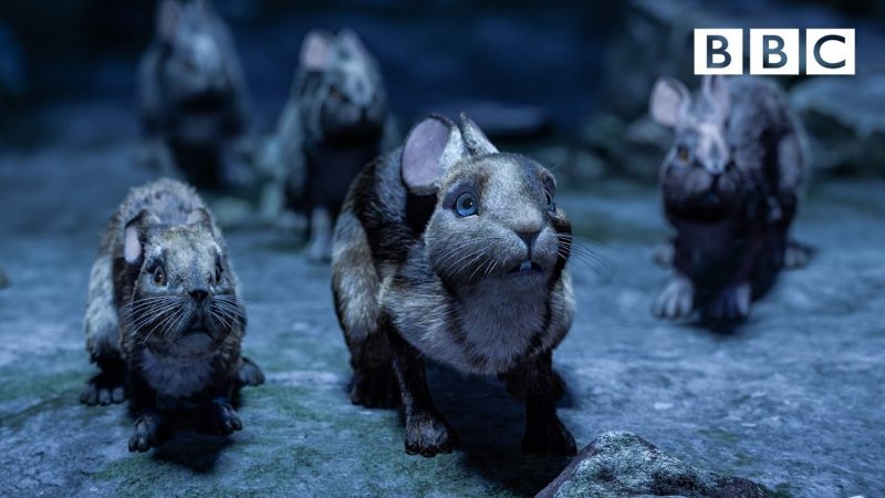 new clip from Watership Down