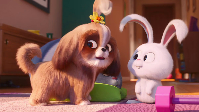 Secret Life of Pets 2 trailer introduces Daisy