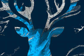 Netflix Greenlights Series Adaptation of Shadow and Bone