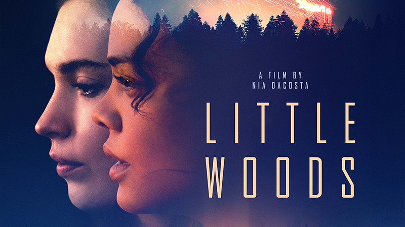 Little Woods Trailer: Tessa Thompson & Lily James Star in the Crime Drama
