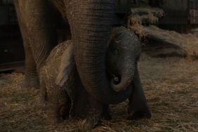 Dumbo Will Take You to New Heights in New International Trailer