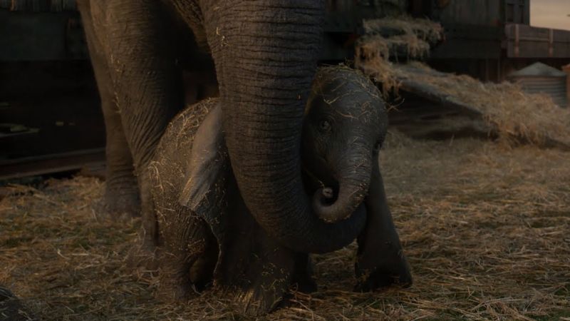 Dumbo Will Take You to New Heights in New International Trailer