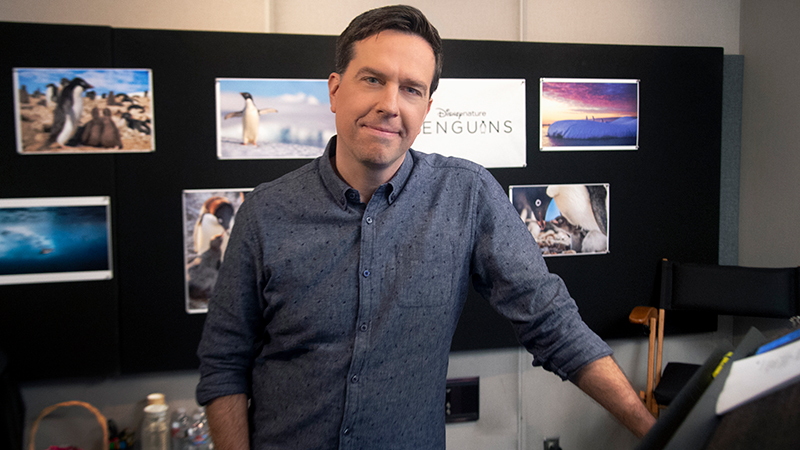 Penguins: Ed Helms to Narrate Disneynature's Feature Film