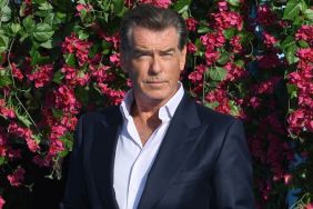 Pierce Brosnan Attached to Star In Renny Harlin's The Misfits