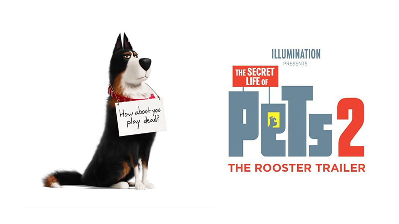 The Secret Life of Pets 2 Trailer Welcomes Harrison Ford as Rooster