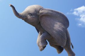CS Interview: Ehren Kruger and Justin Springer on Creating a New Dumbo Story