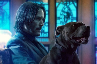 Animal Safety is Still a Priority In John Wick: Chapter 3 - Parabellum Clip
