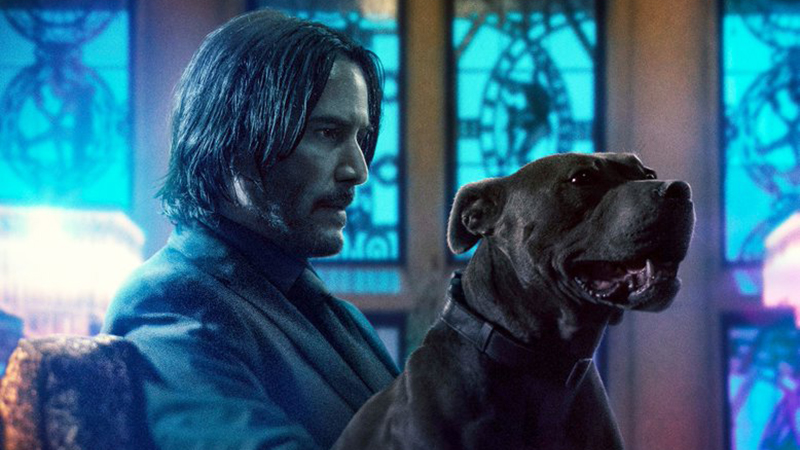 Animal Safety is Still a Priority In John Wick: Chapter 3 - Parabellum Clip
