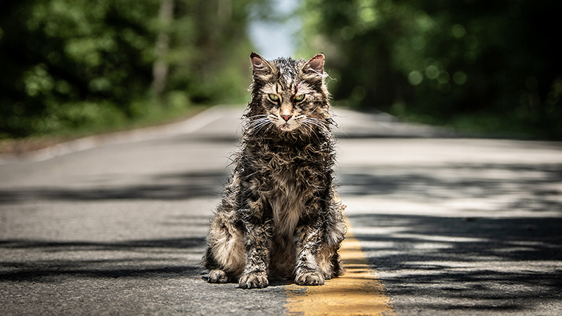 Unearthing the Stephen King References in Pet Sematary
