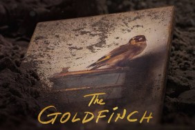 The Goldfinch Movie Poster Tells the Story of a Stolen Life