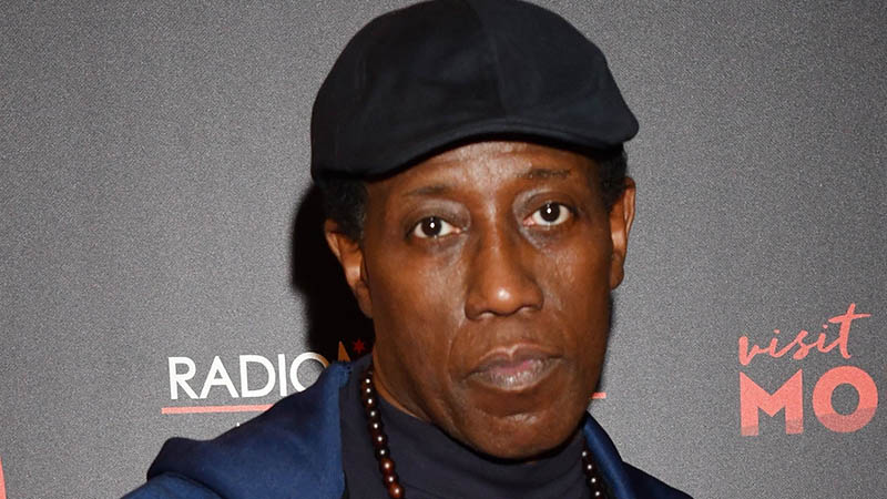 Wesley Snipes To Star in Zombie Thriller Outbreak Z