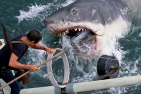 Original Jaws Shark Restored for Academy Museum of Motion Pictures