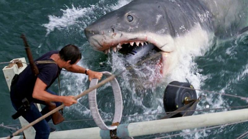 Original Jaws Shark Restored for Academy Museum of Motion Pictures