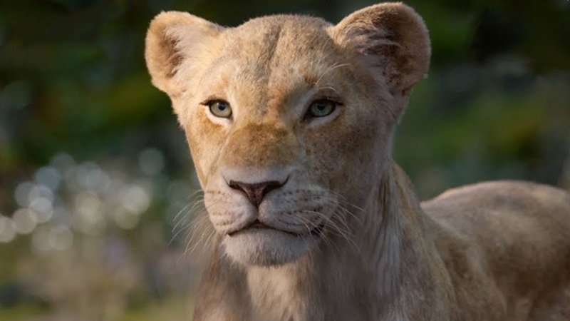 First Look at Beyoncé as Nala in Lion King Sneak Peek Released