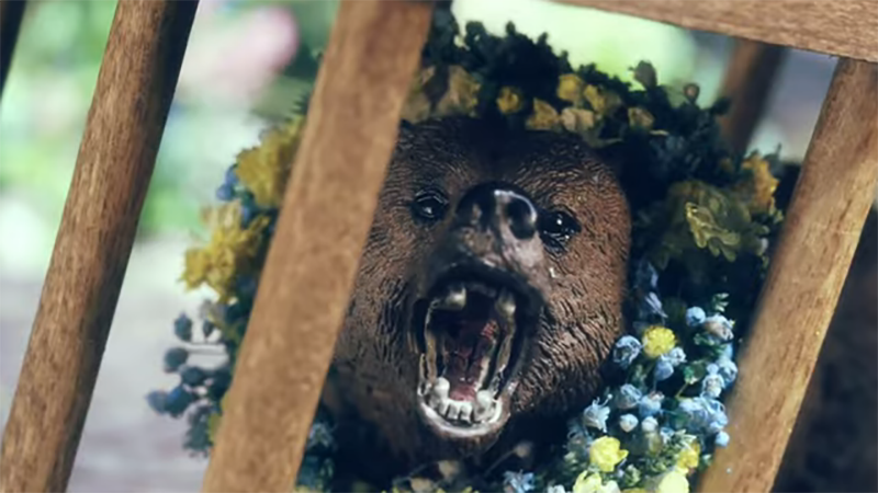 A24 Unveils Midsommar Bear in a Cage Toy With Musical Promo