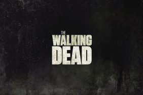 Comic-Con: New Details on Third Walking Dead Series