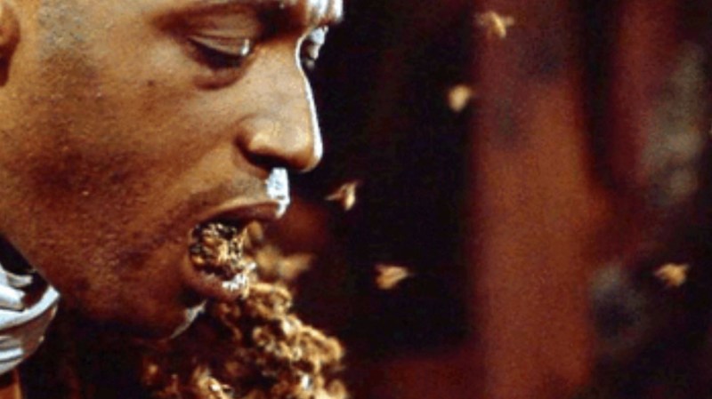 Colman Domingo & Nathan Stewart-Jarrett Join Jordan Peele's Candyman