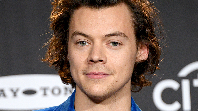 Harry Styles Passes on Prince Eric Role in Disney's The Little Mermaid
