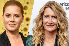 The Most Fun We Ever Had: Amy Adams & Laura Dern Producing HBO Series