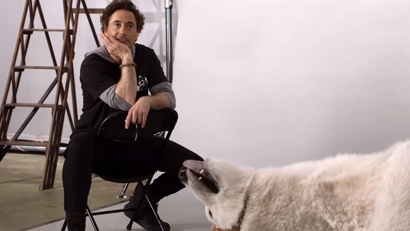 New Dolittle Teaser: Robert Downey Jr. Oversees Animal Auditions