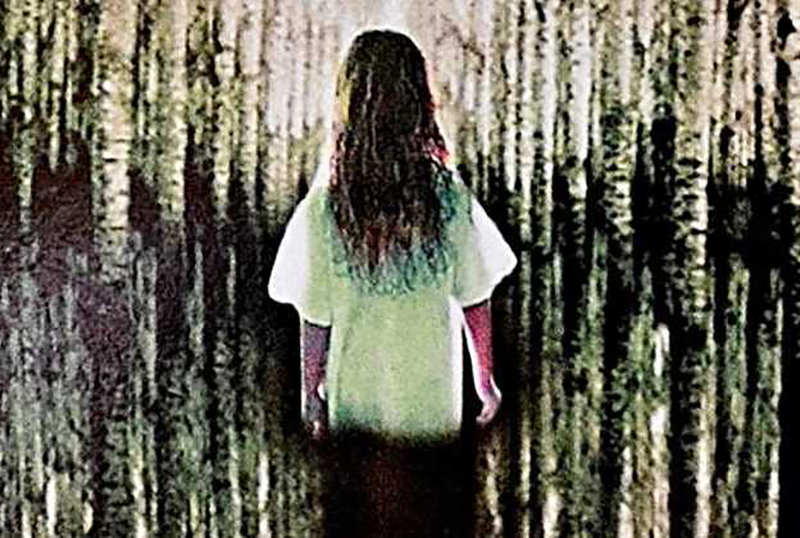 Village Roadshow Acquires Stephen King's The Girl Who Loved Tom Gordon