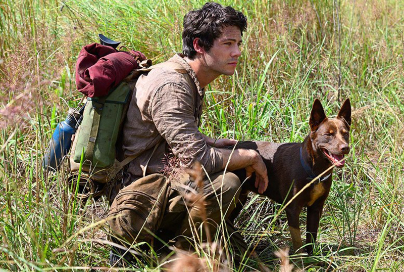 Paramount Sets PVOD Release for Dylan O'Brien-Led Apocalyptic Adventure