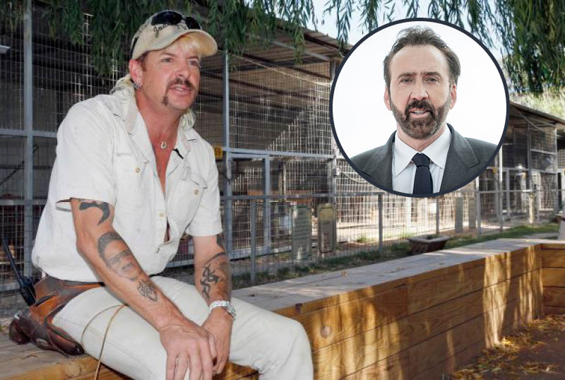 Amazon Acquires Joe Exotic Scripted Series Led by Nicolas Cage