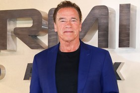 Arnold Schwarzenegger's Skydance Spy Series Acquired by Netflix