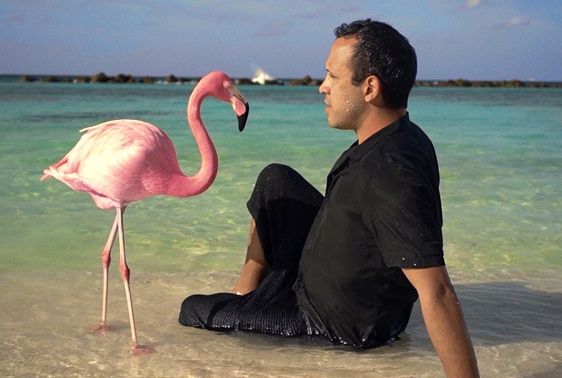 Exclusive The Mystery of The Pink Flamingo Trailer From 1091 Pictures