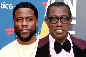 True Story: Kevin Hart & Wesley Snipes to Play Brothers in Netflix Limited Series
