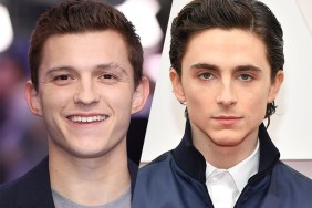 Wonka: Warner Reportedly Eyeing Holland & Chalamet For Titular Role