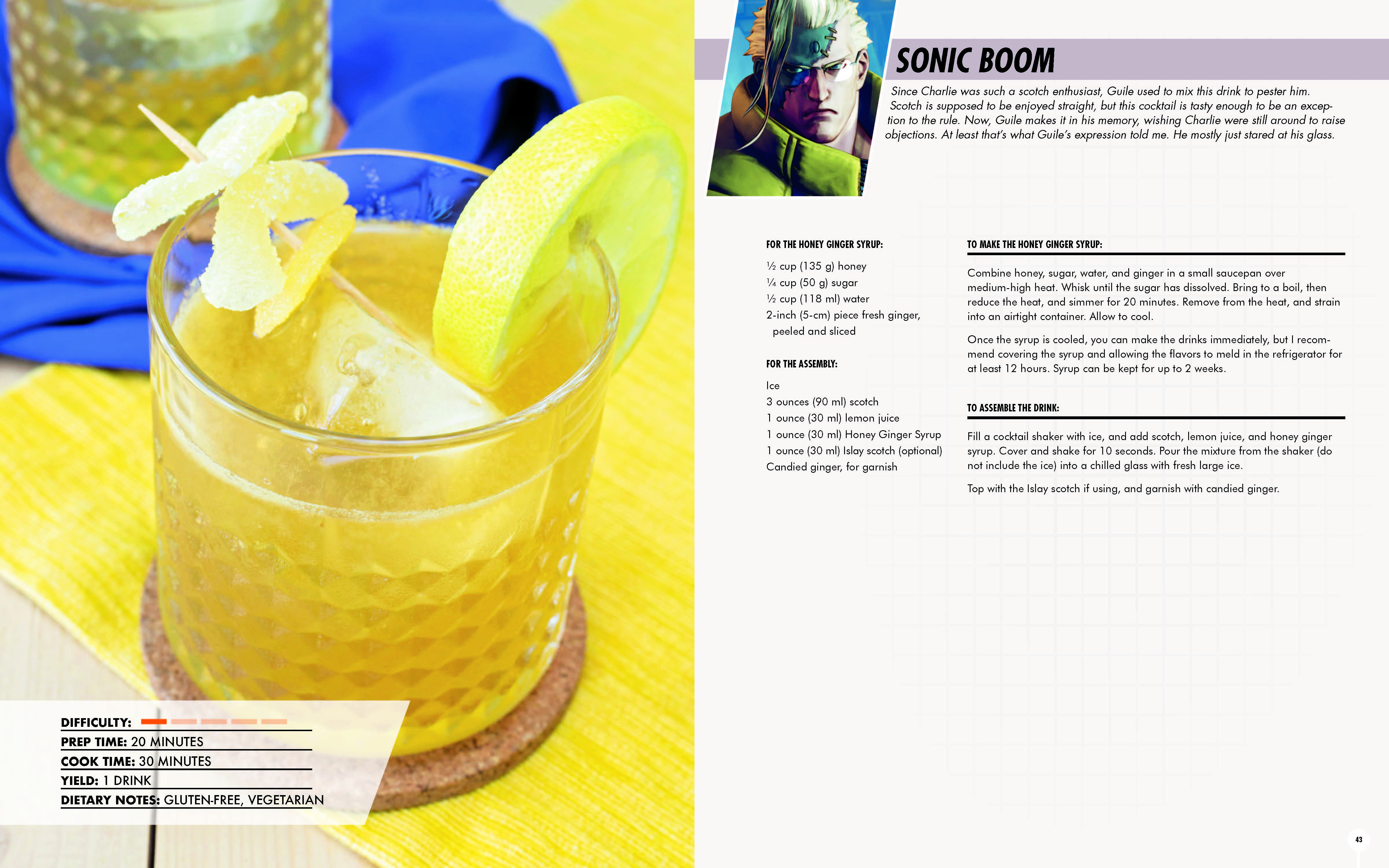 Street Fighter cookbook