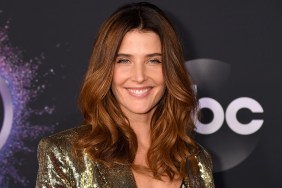 Cobie Smulders Replaces Betty Gilpin in Impeachment: American Crime Story