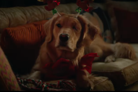 Hawkeye trailer holidays