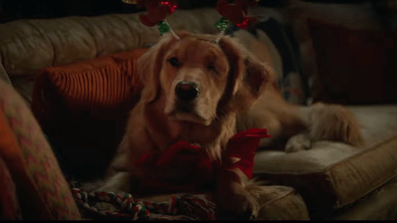 Hawkeye trailer holidays